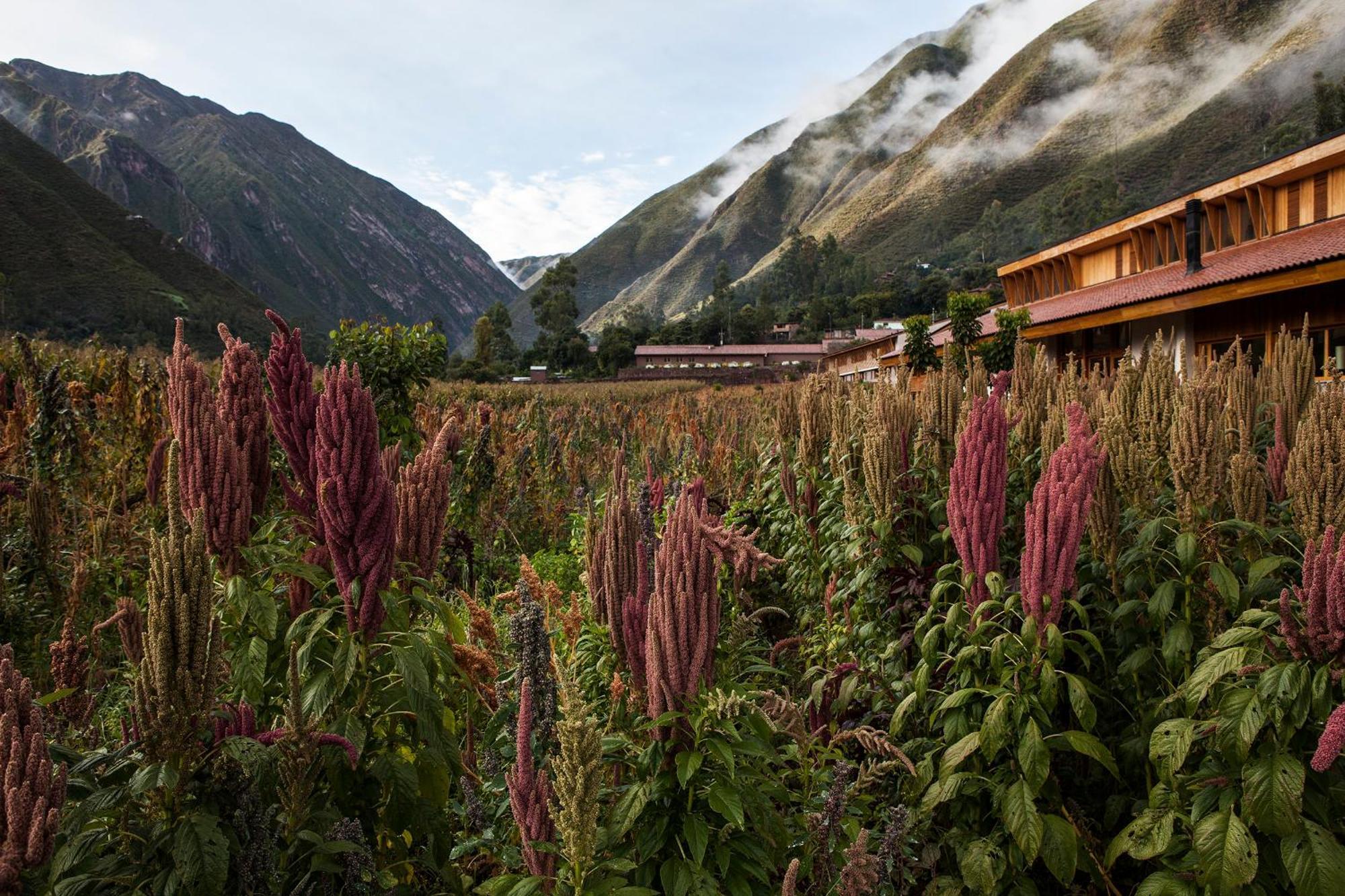 Explora Valle Sagrado Urubamba Esterno foto